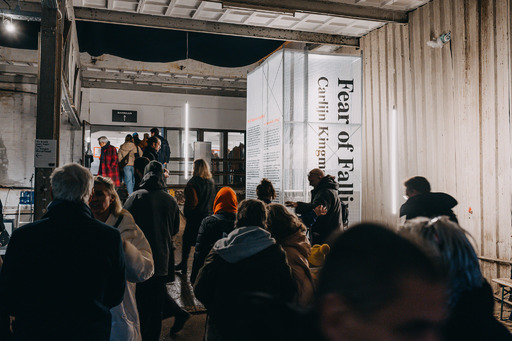 Opening Fear of Falling © Laura Siliquini